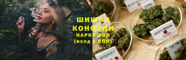 дживик Алексеевка
