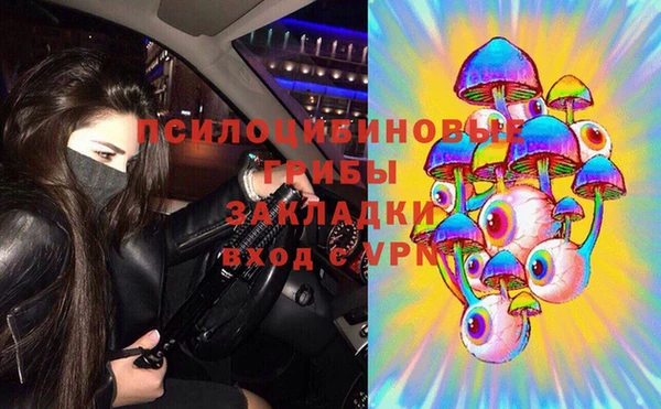 дживик Алексеевка